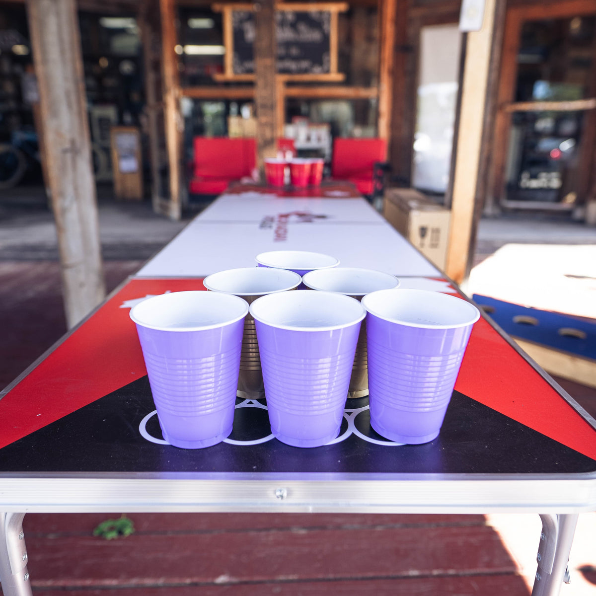 Beer Pong Table - Assorted Designs